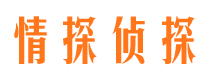 新民市婚外情调查